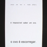 invisívelaovonu-livropequeno2