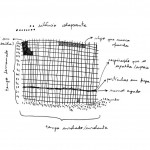 marparadoxo-8notas-desenhos-8_2013-2016